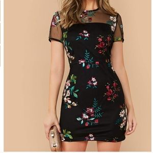 Adorable dress sheer